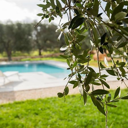 Serranova Dimora La Scaledda Bed & Breakfast エクステリア 写真
